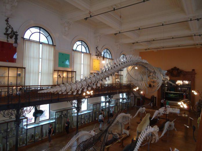 Museo Oceanográfico Monaco