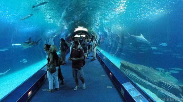 Oceanográfico de Mónaco