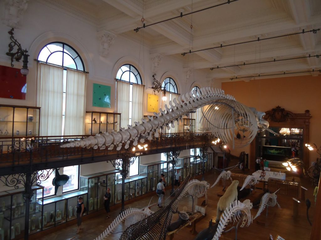 Museo Oceanográfico Monaco