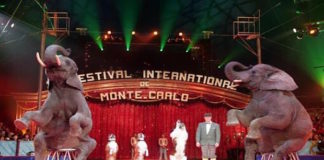 Festival Internacional de Circo de Montecarlo.